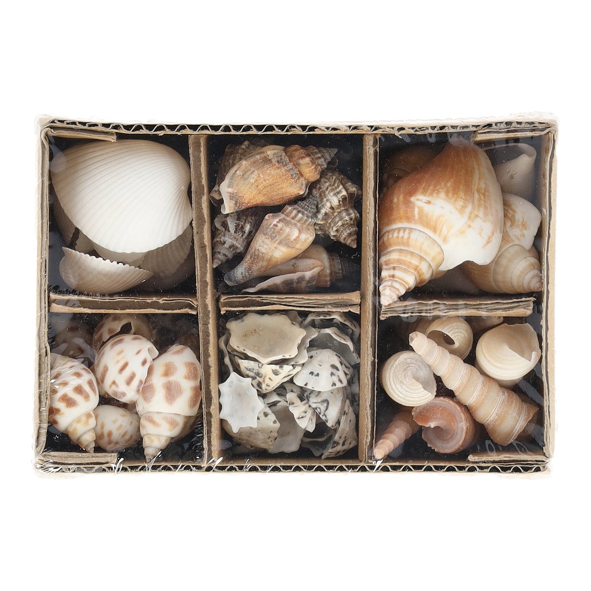 Schelpen in doos nature 400 g Schelpen in doos nature 400 g