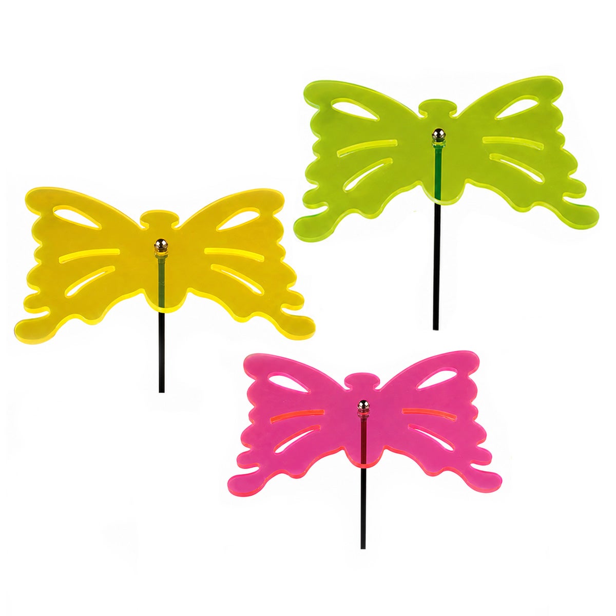 Vlinder glow in the day Vlinder glow in the day