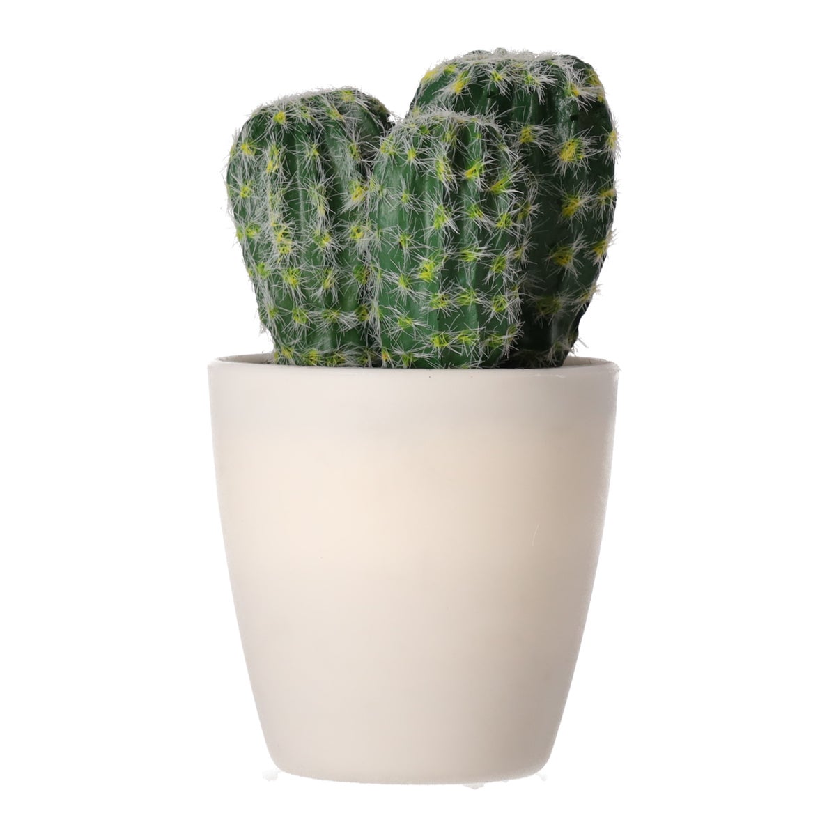 Decoratieve cactusplant 19 cm diverse assorti Decoratieve cactusplant 19 cm diverse assorti