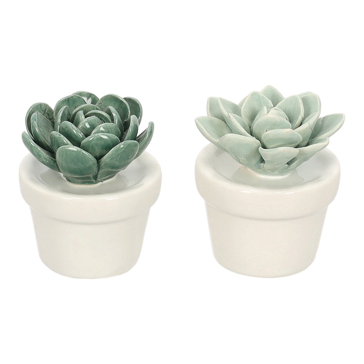 Plant met pot Manuso keram 7 cm Plant met pot Manuso keram 7 cm