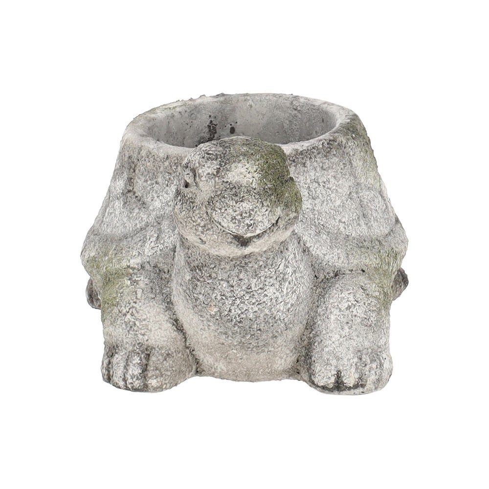 Pot schildpad 15 cm cement Pot schildpad 15 cm cement