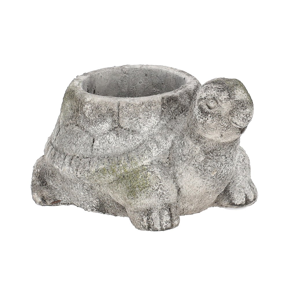 Pot schildpad 15 cm cement Pot schildpad 15 cm cement