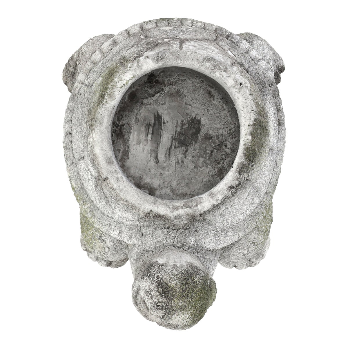 Pot schildpad 15 cm cement Pot schildpad 15 cm cement