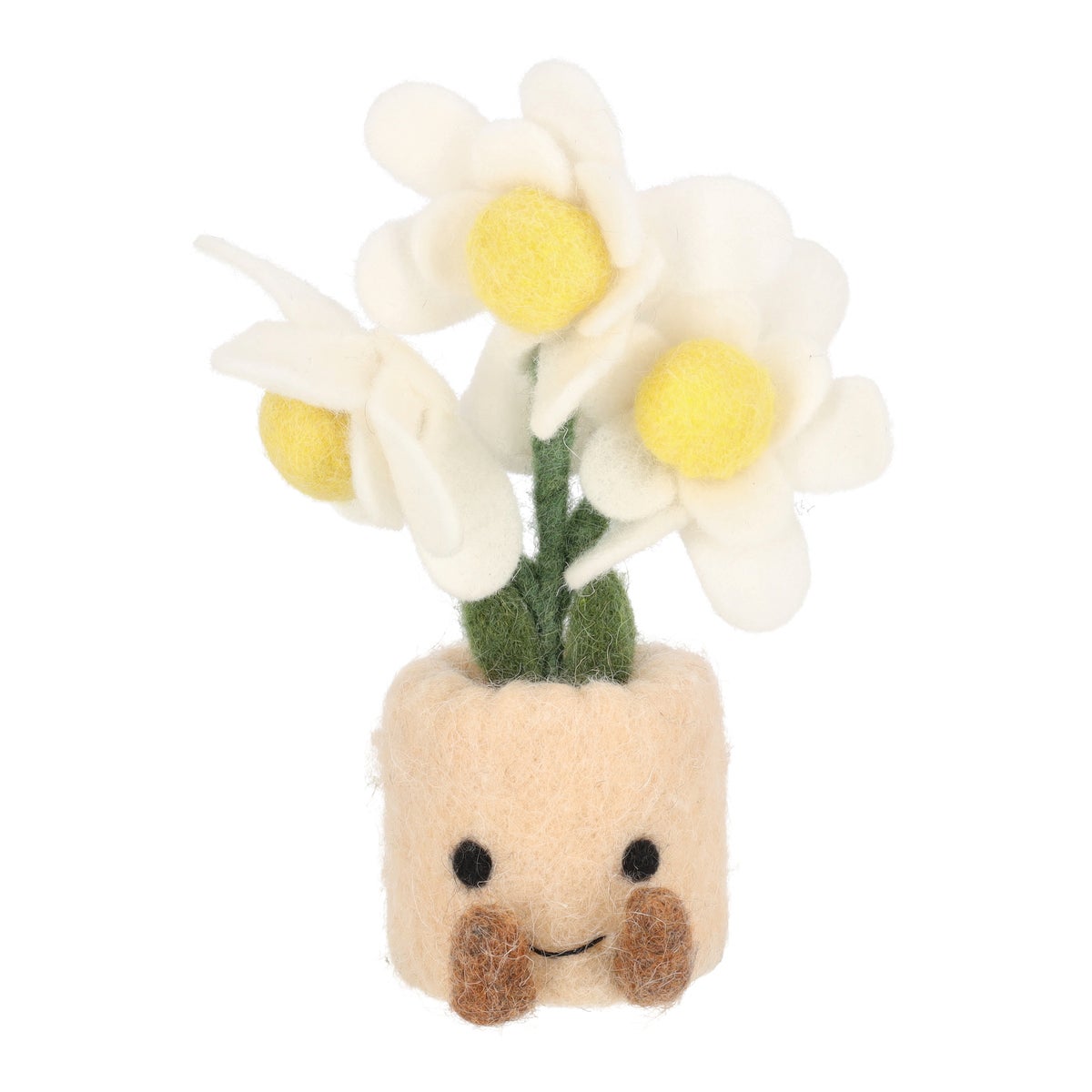 Plant vilt Madelief 17 cm Plant vilt Madelief 17 cm