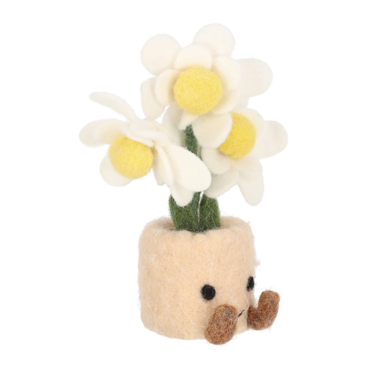 Plant vilt Madelief 17 cm Plant vilt Madelief 17 cm