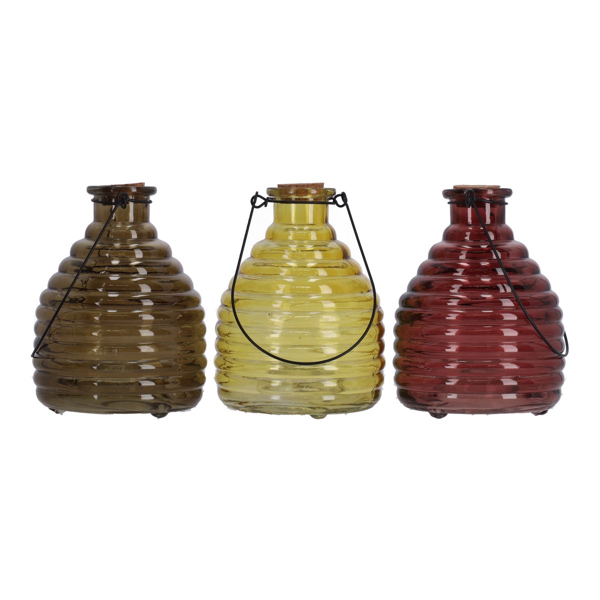 Wespenvanger van glas 17 x 13 cm 4 assorti Wespenvanger van glas 17 x 13 cm 4 assorti