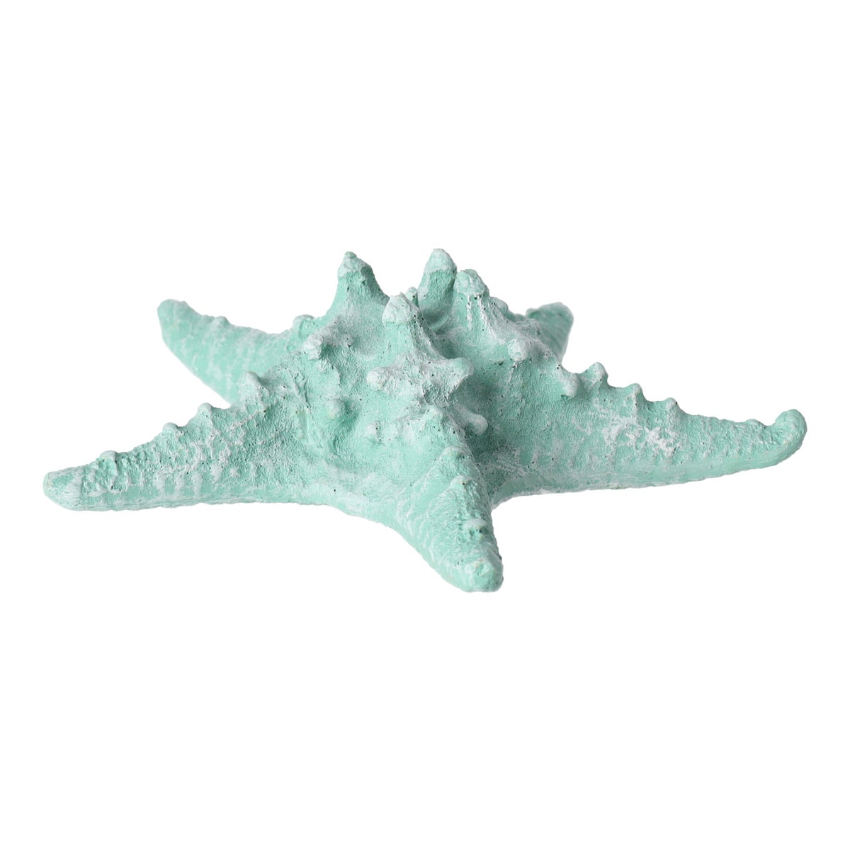 Zeester 19 cm blauw, 2 assorti Zeester 19 cm blauw, 2 assorti