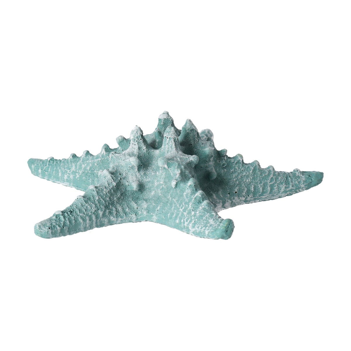 Zeester 19 cm blauw, 2 assorti Zeester 19 cm blauw, 2 assorti