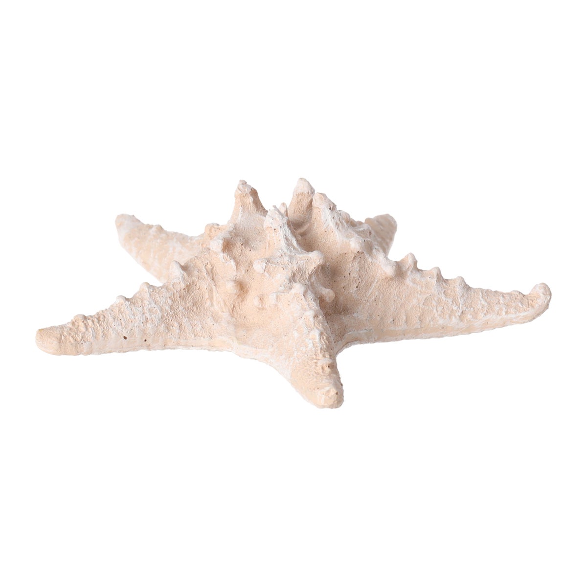 Zeester 19 cm 2 assorti Zeester 19 cm 2 assorti