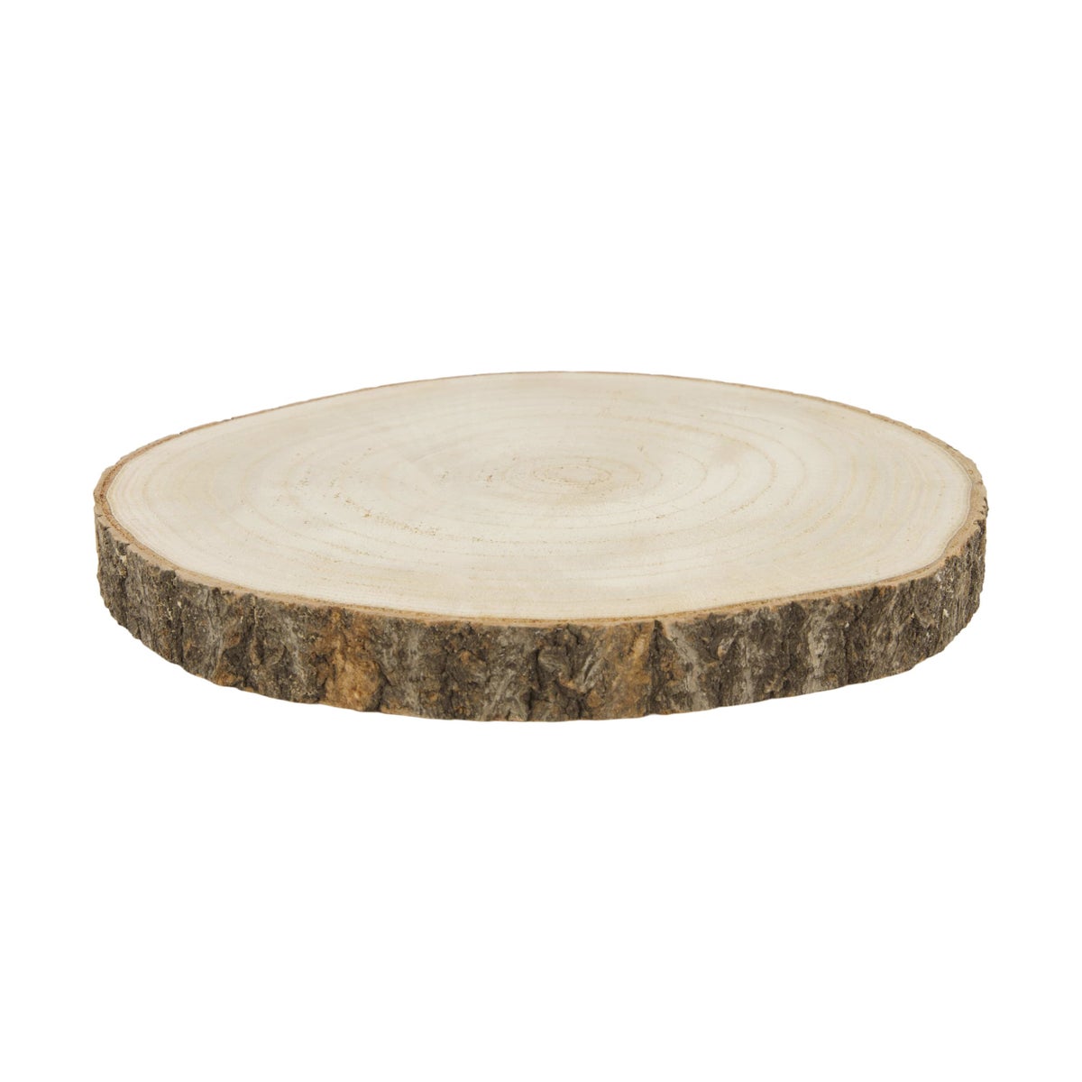 Schijf hout deco berk 25 cm Schijf hout deco berk 25 cm