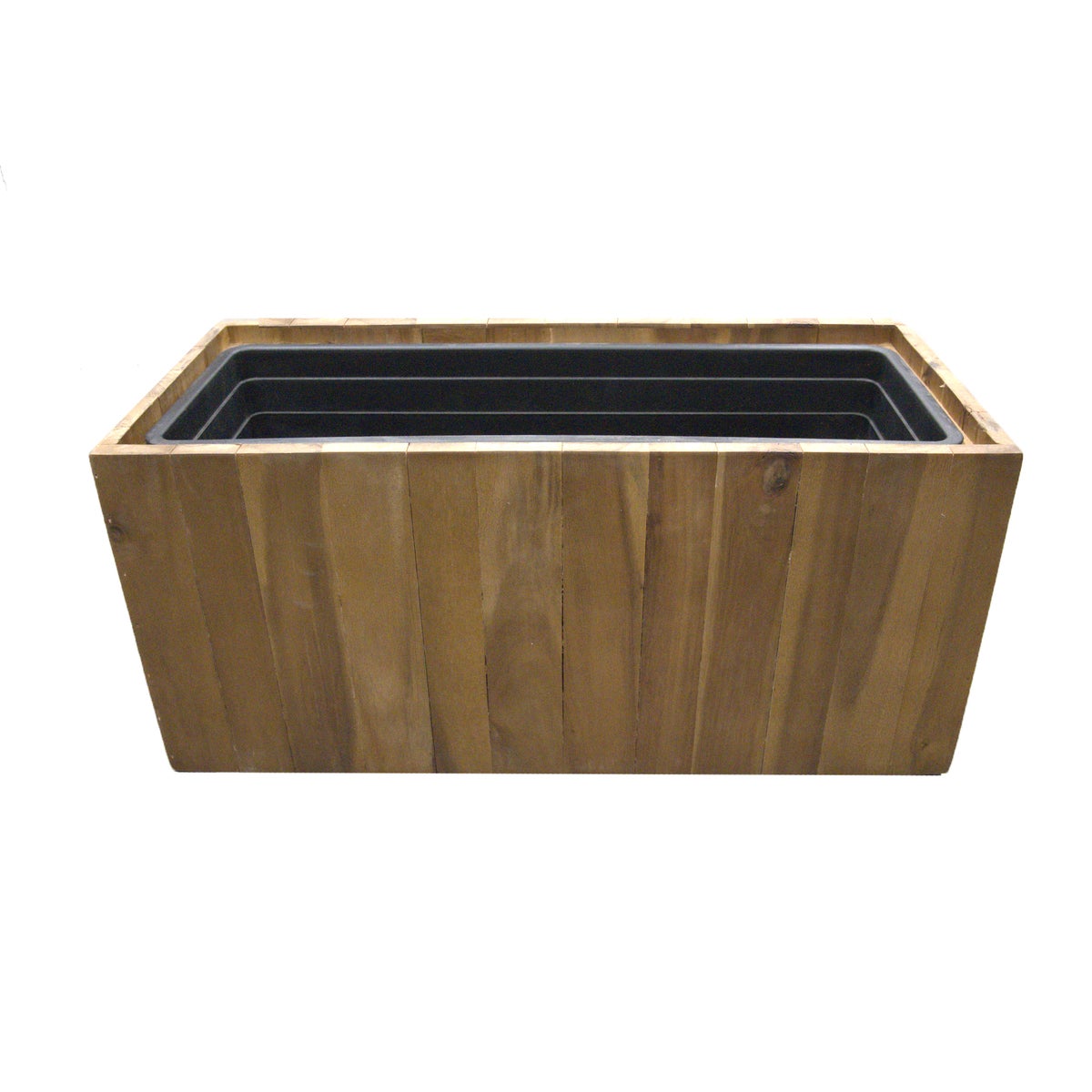 Pot Fussy acacia Pot Fussy acacia