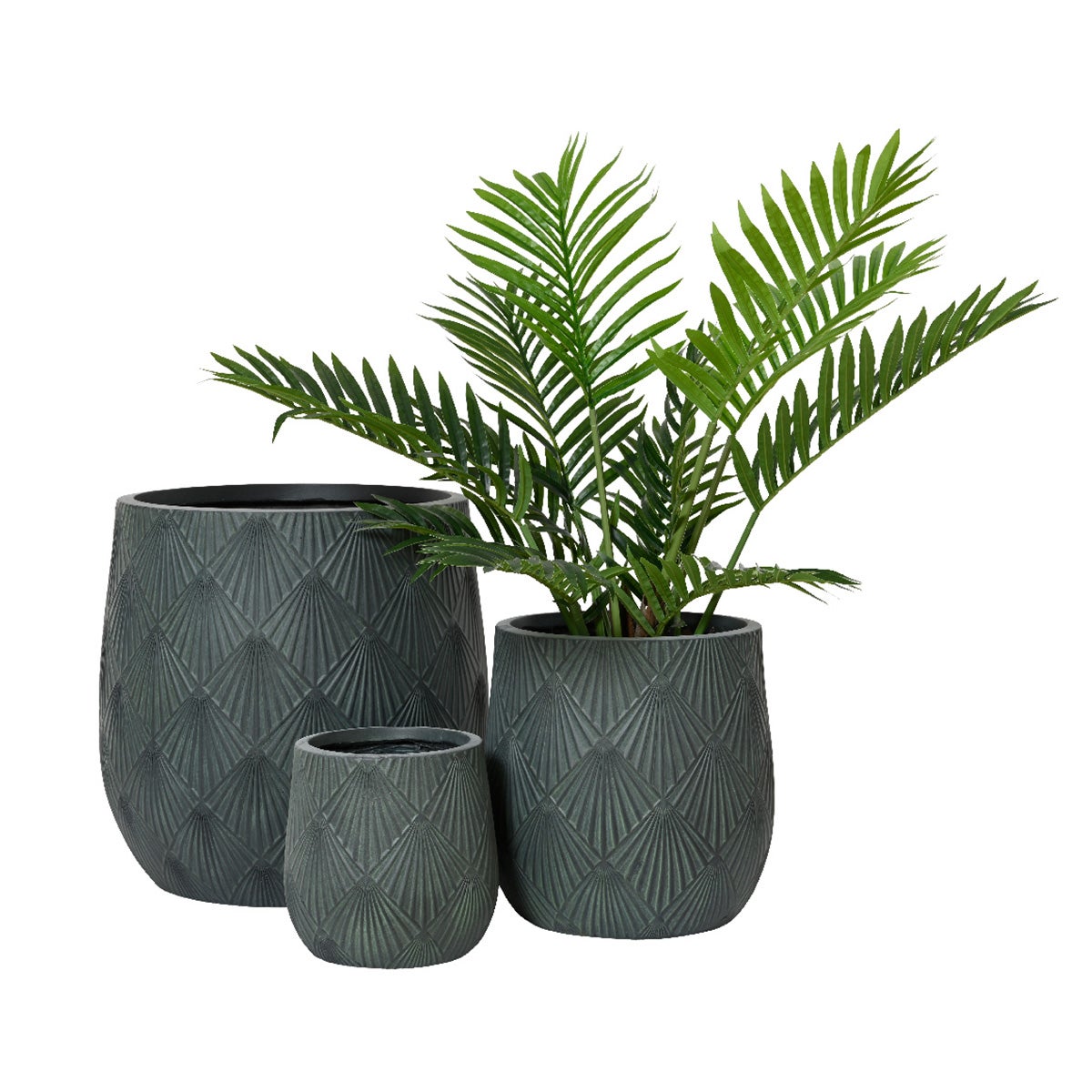 Pot Alisa laag Pot Alisa laag