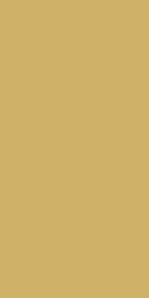 Tafelkleed 138 x 280 XXL gold Tafelkleed 138 x 280 XXL gold