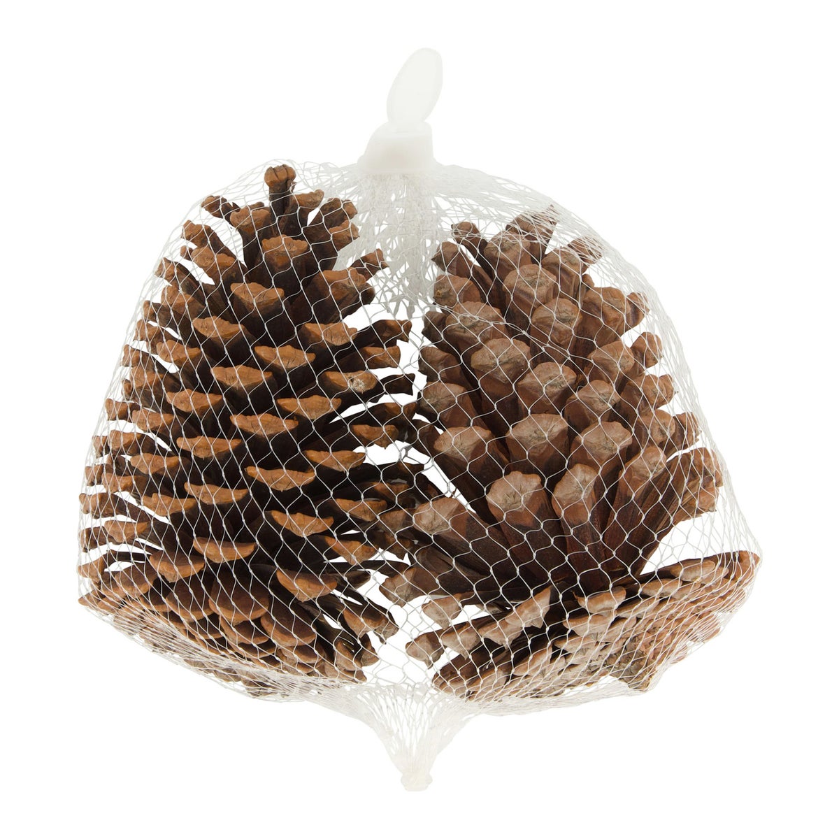 Dennenappel natural 13 x 13 x 8 cm 2st Dennenappel natural 13 x 13 x 8 cm 2st