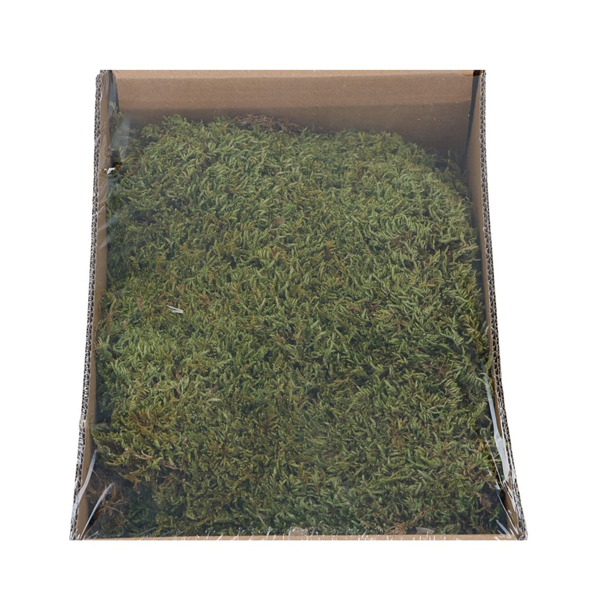 Mos box naturel 150g Mos box naturel 150g