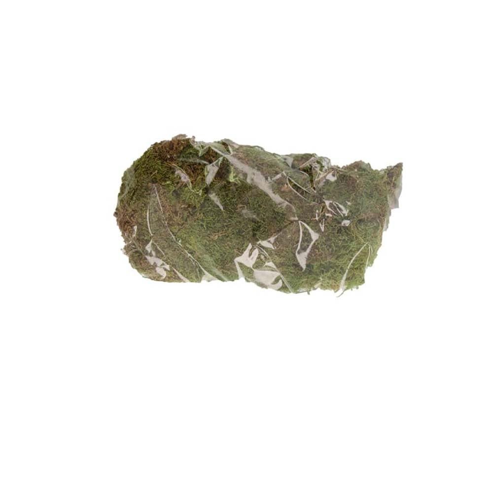 Mos naturel groen 100G Mos naturel groen 100G