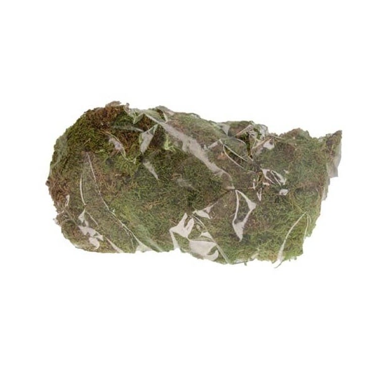 Mos naturel groen 100 g Mos naturel groen 100 g