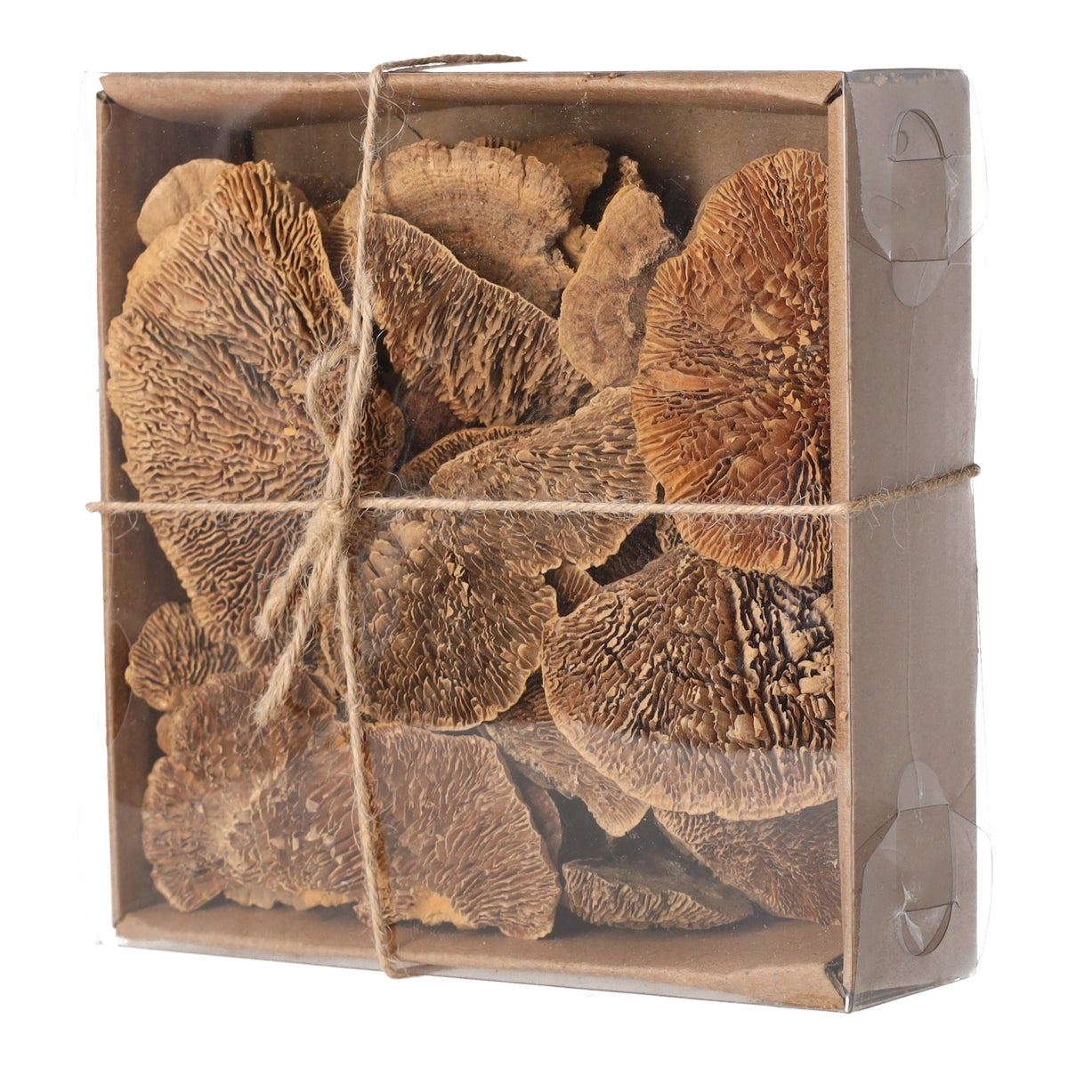 Paddenstoel deco naturel 120g Paddenstoel deco naturel 120g