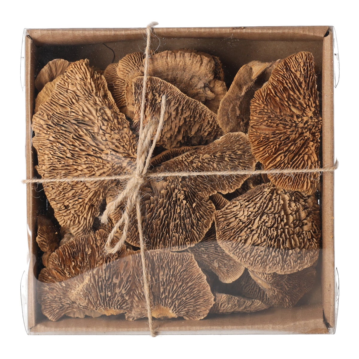 Paddenstoel deco naturel 120g Paddenstoel deco naturel 120g