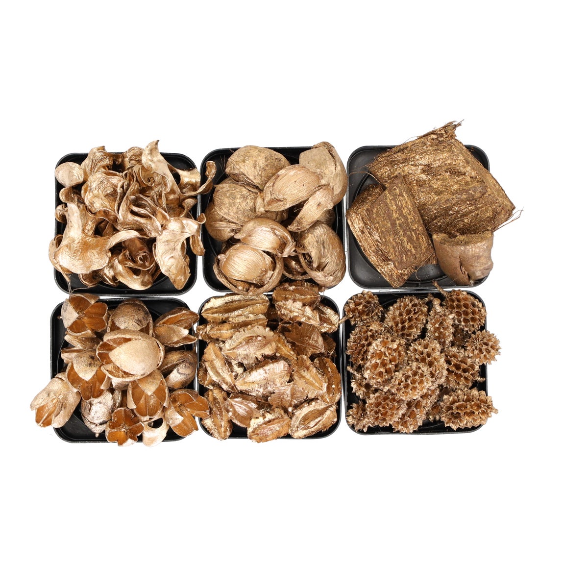Exotische mix natuur goud 6 x 6 x 14 cm 6 assorti Exotische mix natuur goud 6 x 6 x 14 cm 6 assorti