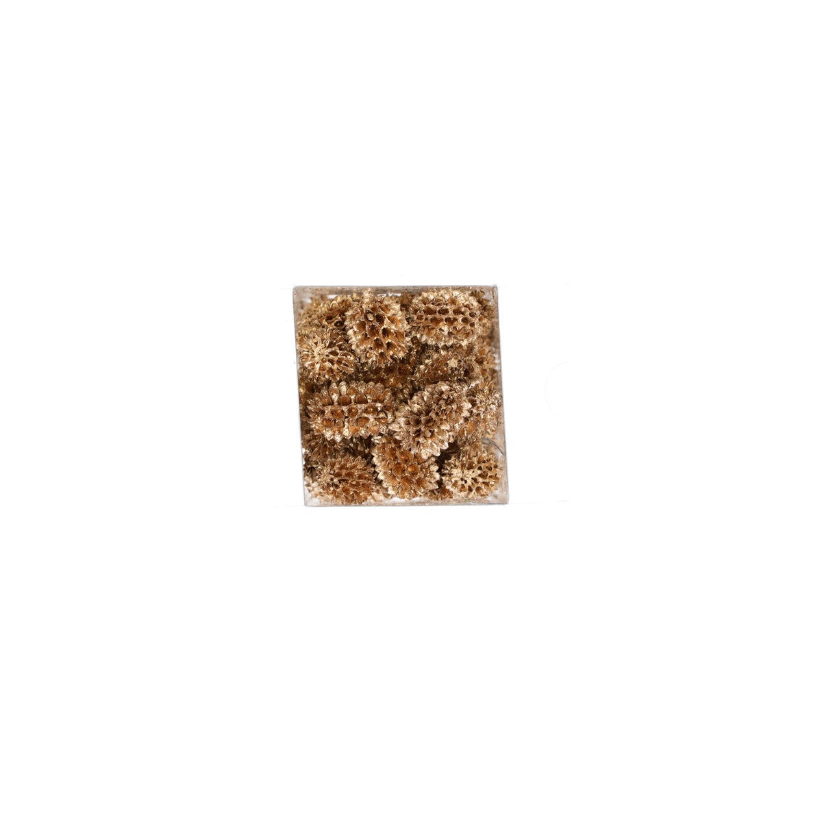 Exotische mix natuur goud 6 x 6 x 14 cm Exotische mix natuur goud 6 x 6 x 14 cm