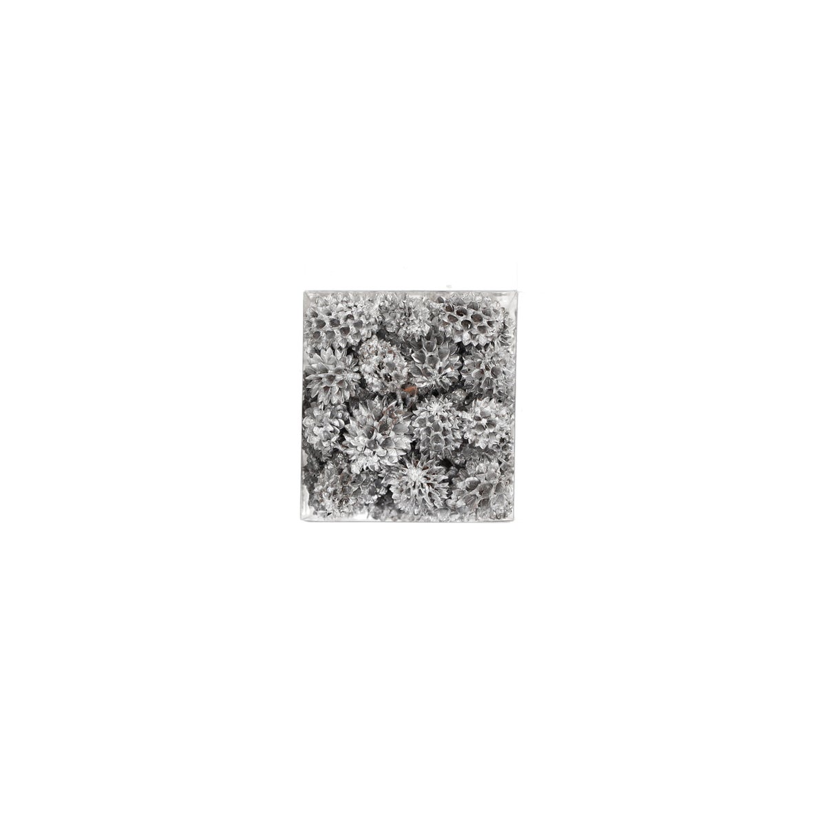 Exotische mix natuur zilver 6 x 6 x 14 cm Exotische mix natuur zilver 6 x 6 x 14 cm
