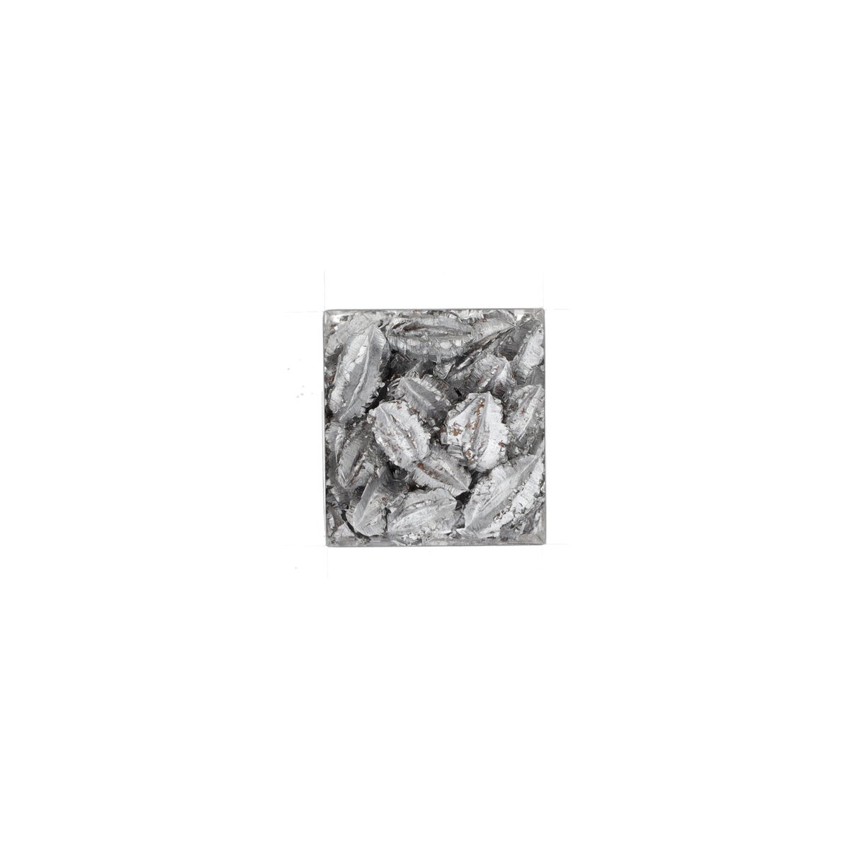 Exotische mix natuur zilver 6x6x14cm 6 assorti Exotische mix natuur zilver 6x6x14cm 6 assorti