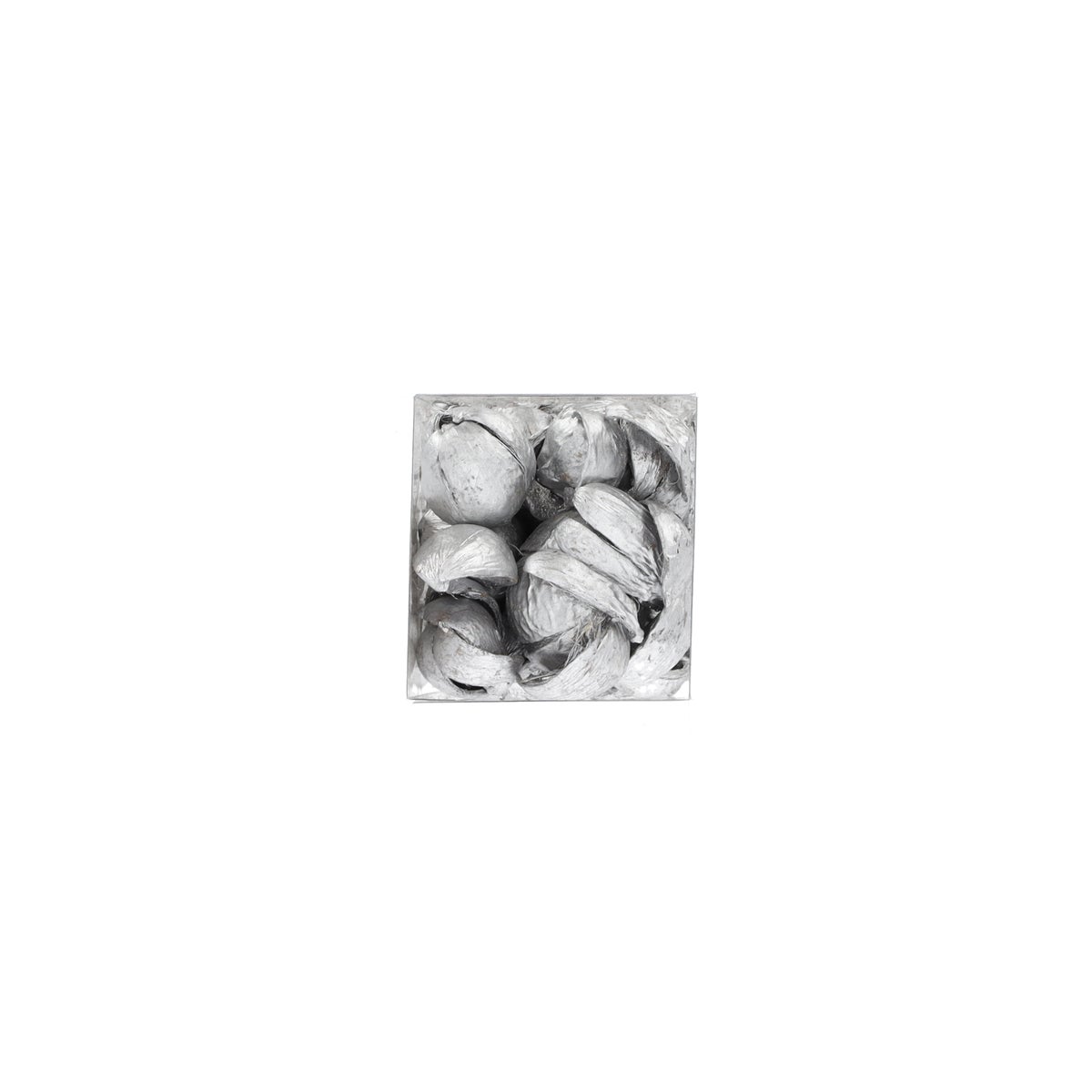 Exotische mix natuur zilver 6x6x14cm 6 assorti Exotische mix natuur zilver 6x6x14cm 6 assorti