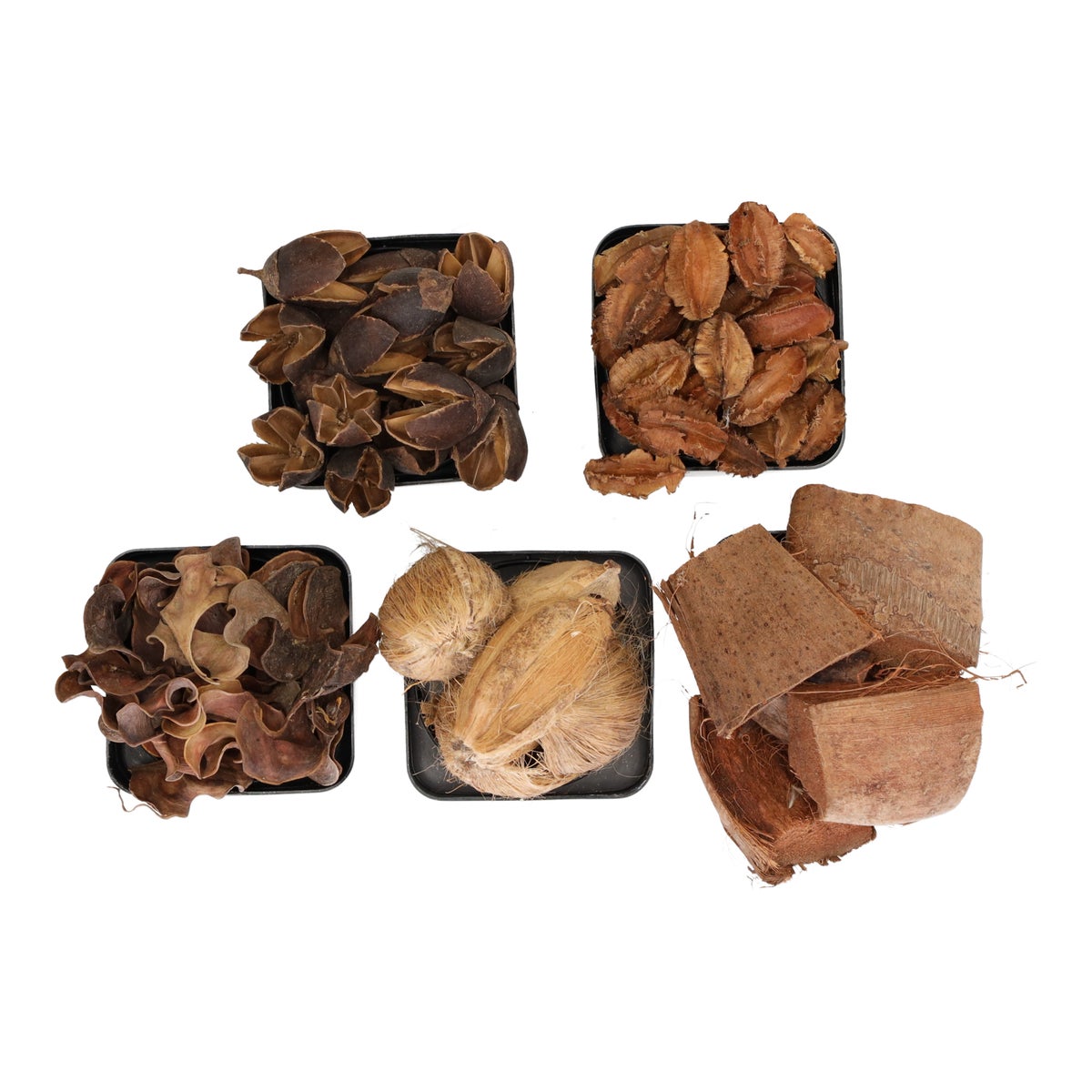 Exotische mix natuur 6 x 6 x 14 cm Exotische mix natuur 6 x 6 x 14 cm