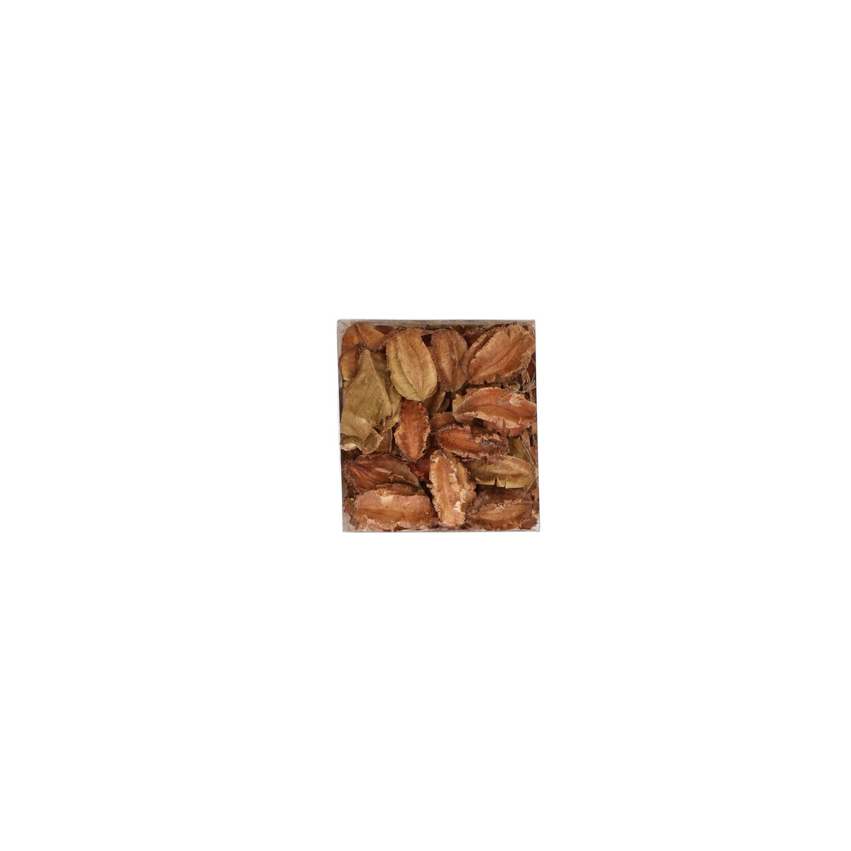 Exotische mix natuur 6 x 6 x 14 cm Exotische mix natuur 6 x 6 x 14 cm