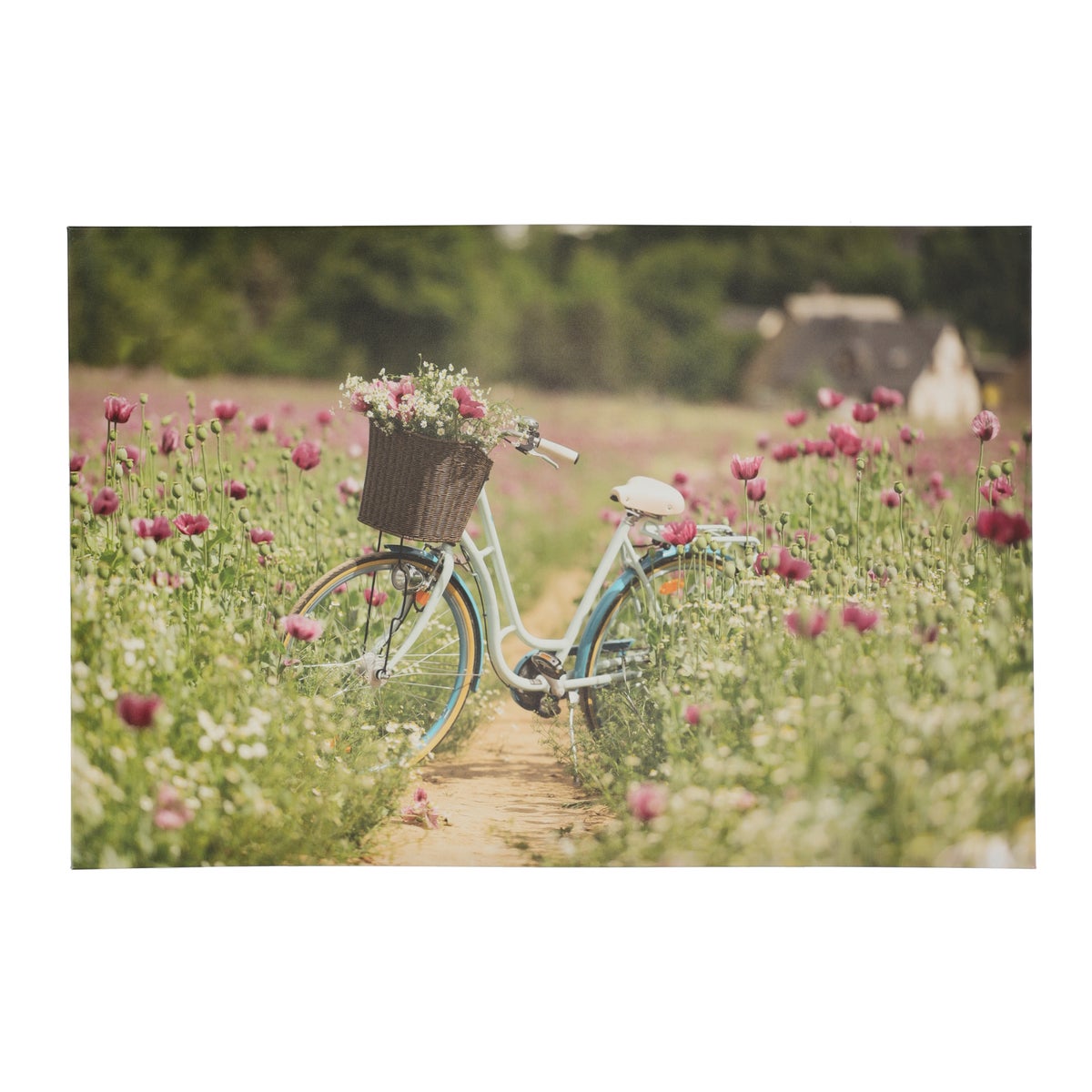 Buitenschilderij Fiets met bloemen 90 x 60 cm Buitenschilderij Fiets met bloemen 90 x 60 cm