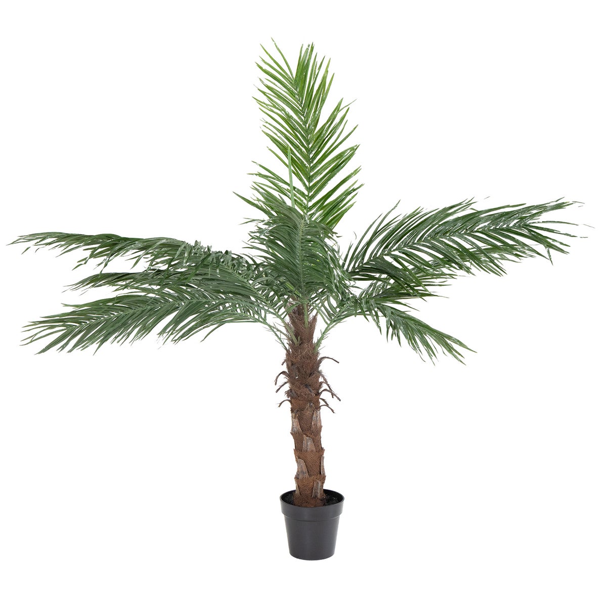 Palm outdoor 150 cm Palm outdoor 150 cm