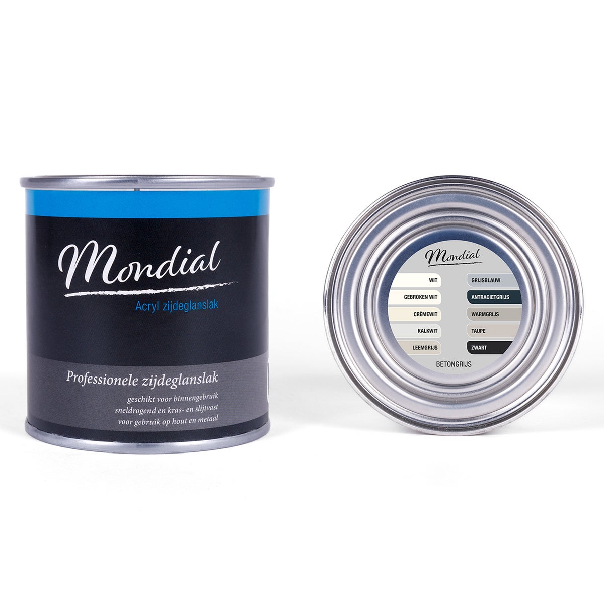 Zijdeglans betongrijs 250 ml Mondial Zijdeglans betongrijs 250 ml Mondial