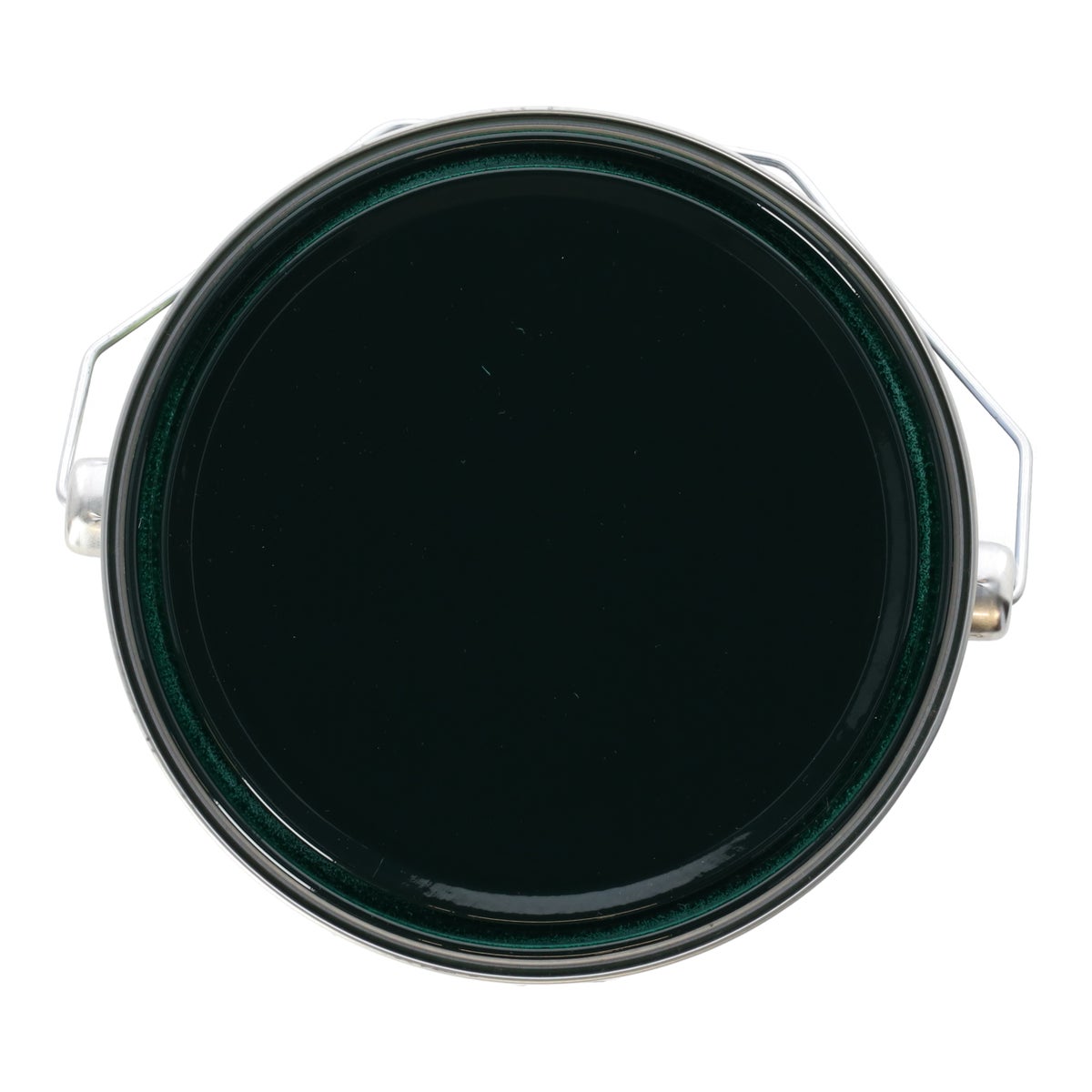 Tuinbeits DK d.groen 2501 2.5L Finess Tuinbeits DK d.groen 2501 2.5L Finess