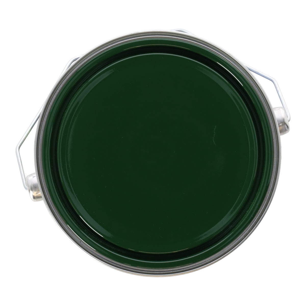 Tuinbeits DK m.groen 2503 2.5L Finess Tuinbeits DK m.groen 2503 2.5L Finess