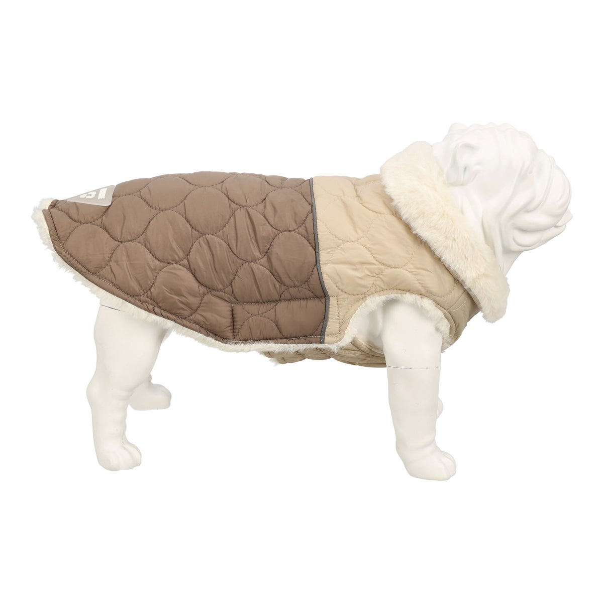 Vest hond dahra Vest hond dahra
