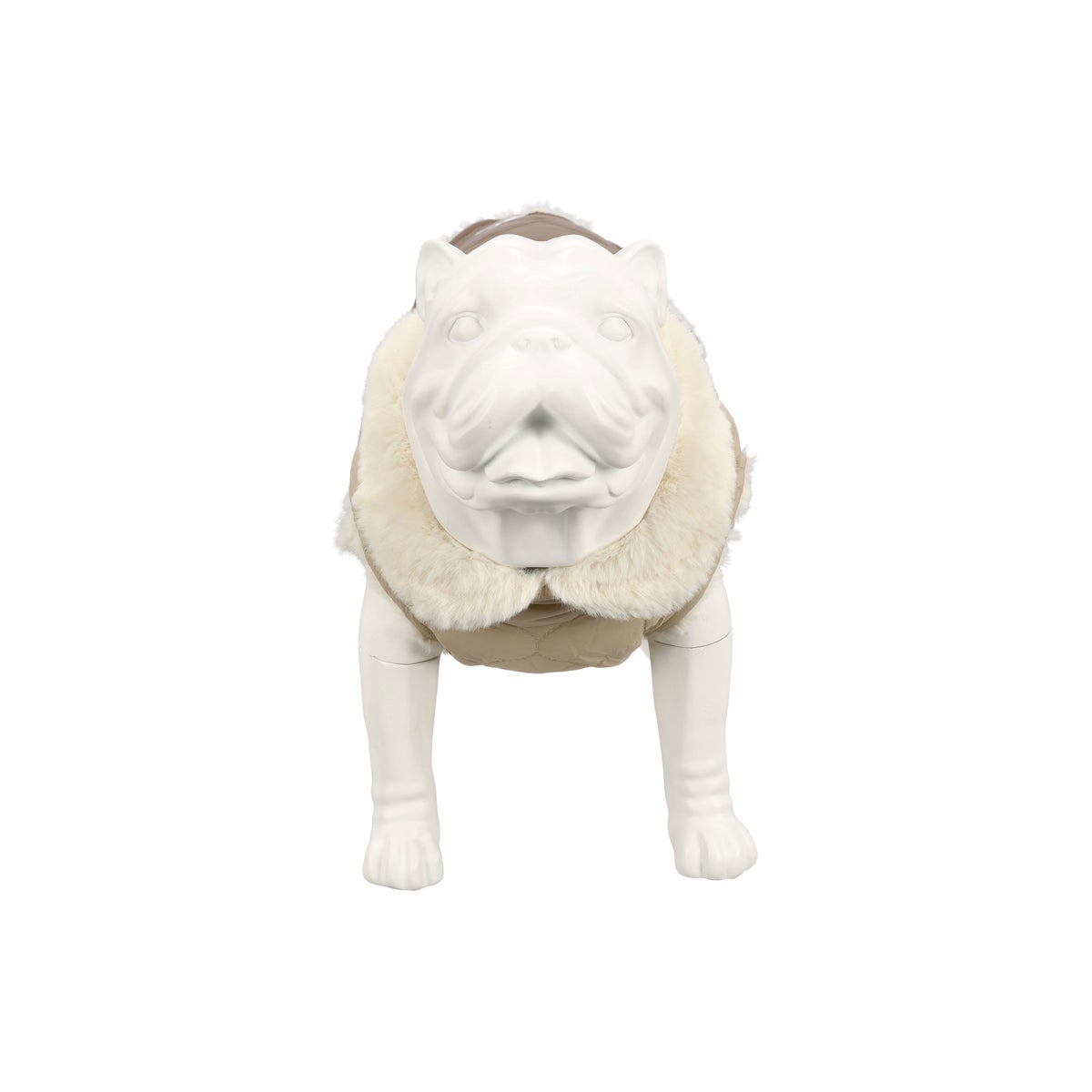 Vest hond dahra Vest hond dahra