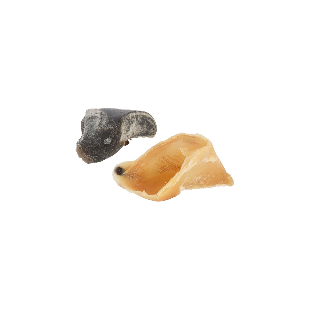 Hondensnack kalfshoef leeg 5 stuks Hondensnack kalfshoef leeg 5 stuks