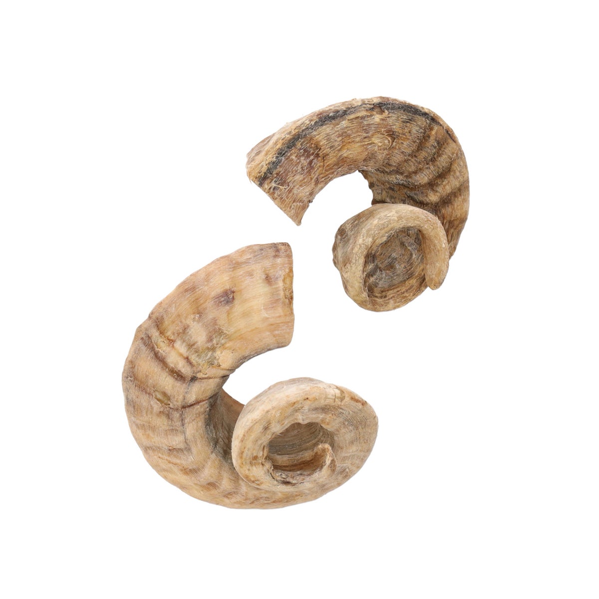 Hondensnack natuur lamshoorn 200 gr Hondensnack natuur lamshoorn 200 gr