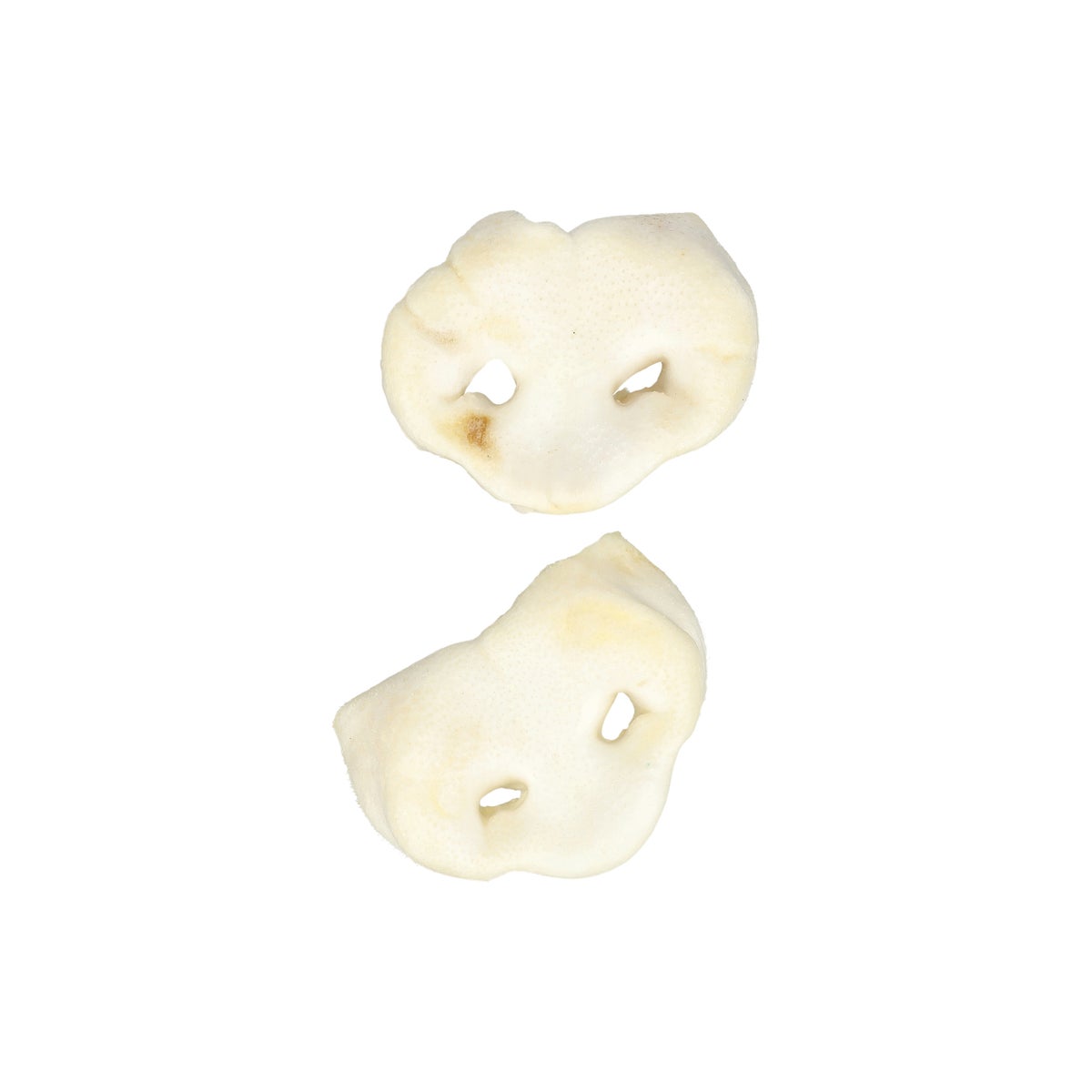 Hondensnack varkenssnuit wit 5 stuks Hondensnack varkenssnuit wit 5 stuks