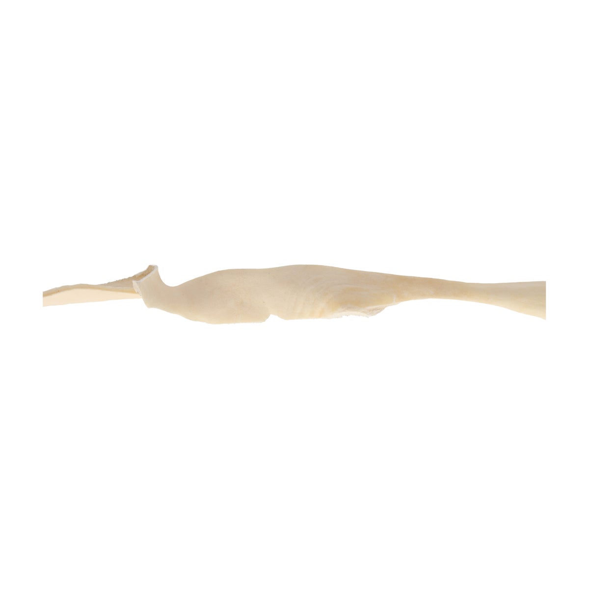Hondensnack runderkophuid wit 70 cm Hondensnack runderkophuid wit 70 cm