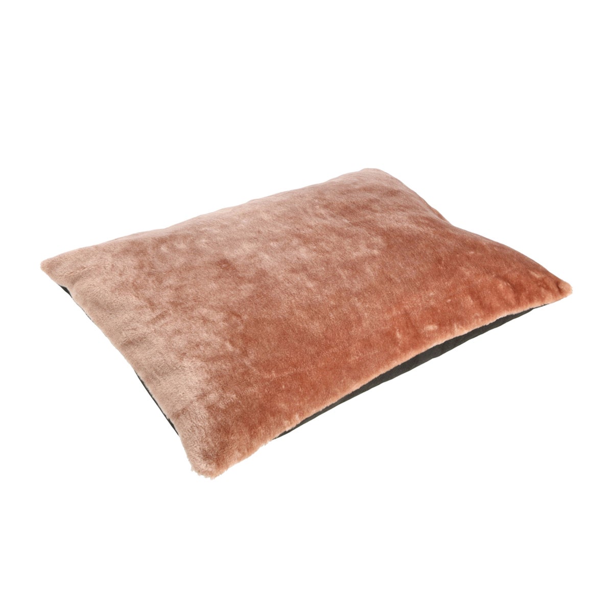 Hondenlounge fur uni Hondenlounge fur uni