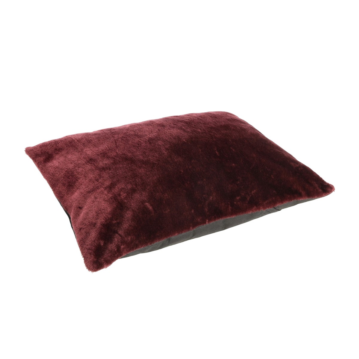 Hondenlounge fur uni Hondenlounge fur uni
