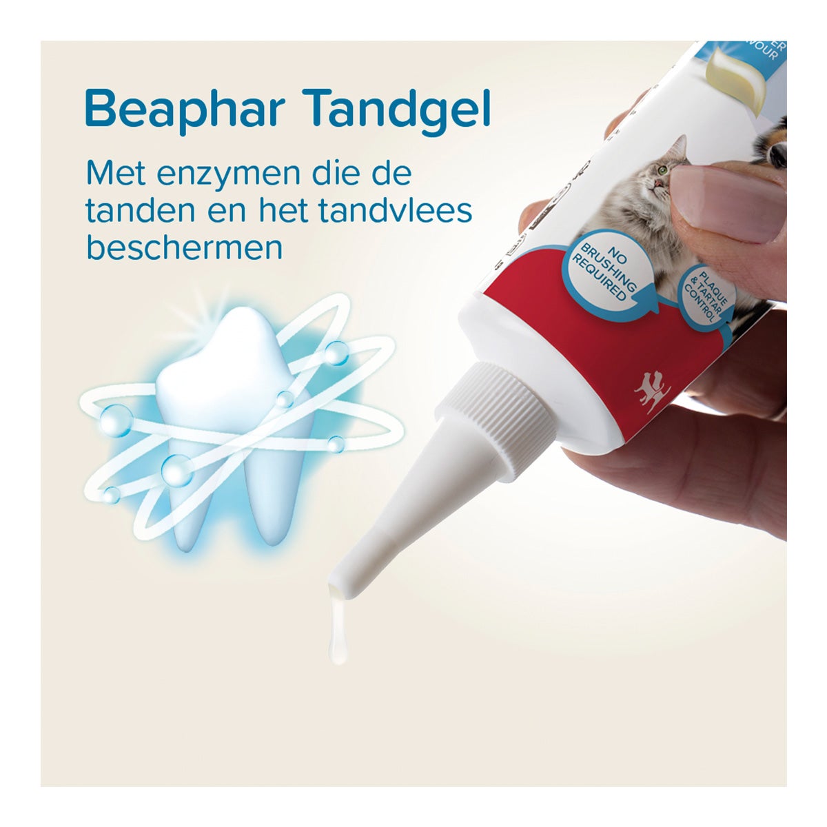 Tandgel 100 g Beaphar Tandgel 100 g Beaphar