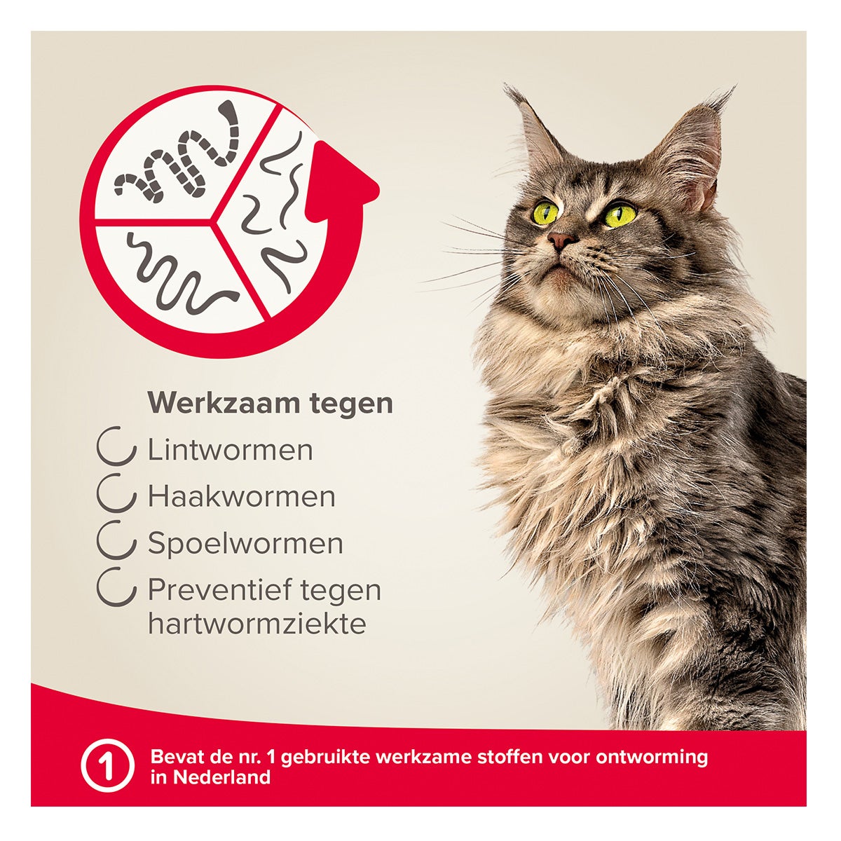 Milquestra kat 2-12 kg 4st. Beaphar Milquestra kat 2-12 kg 4st. Beaphar