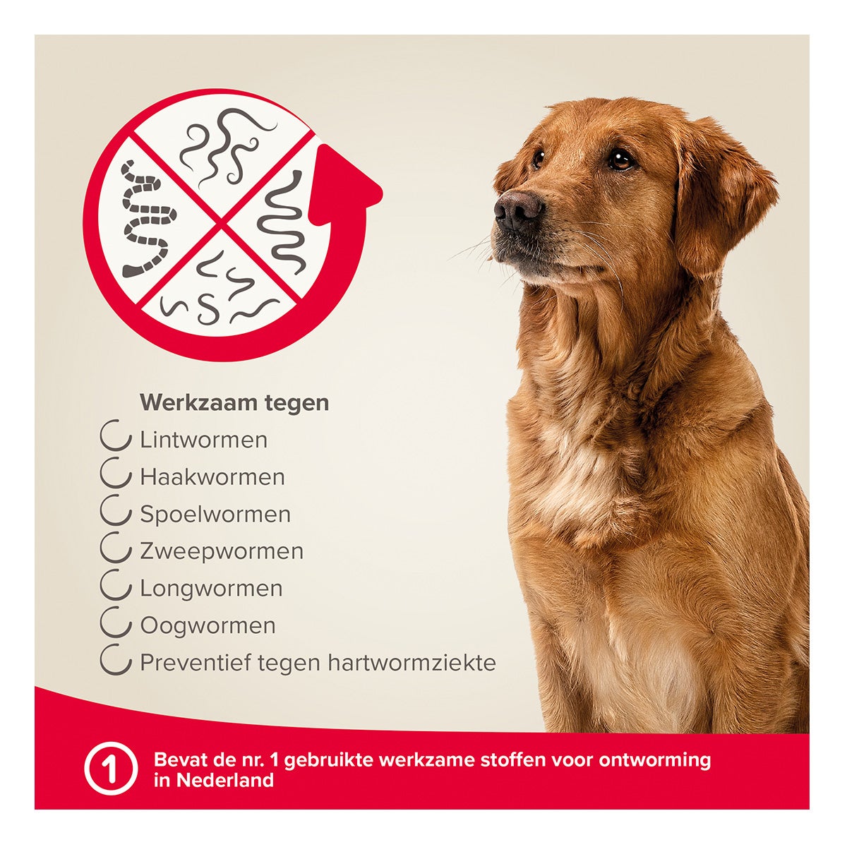 Milquestra hond 5-50 kg 2st. Beaphar Milquestra hond 5-50 kg 2st. Beaphar