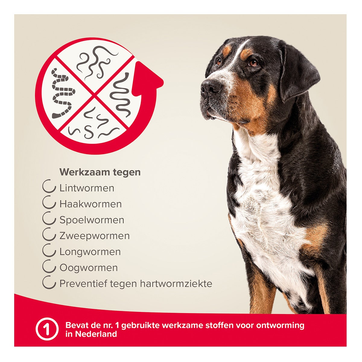 Milquestra hond 5-75 kg 4 stuks Beaphar Milquestra hond 5-75 kg 4 stuks Beaphar