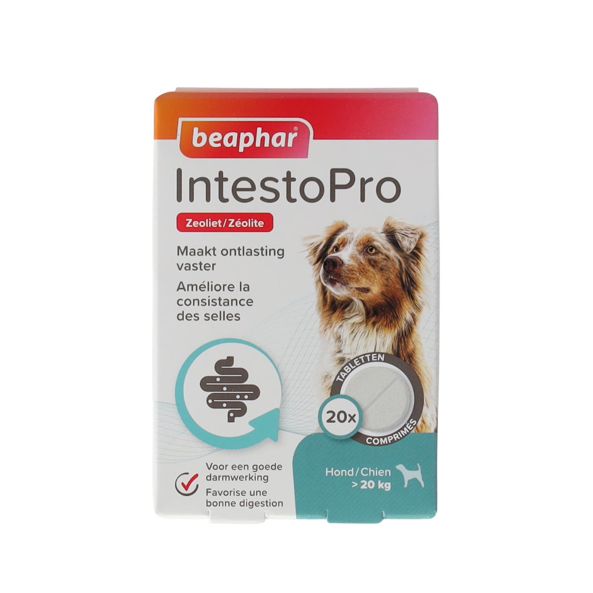 Intestopro hond vanaf 20kg Intestopro hond vanaf 20kg