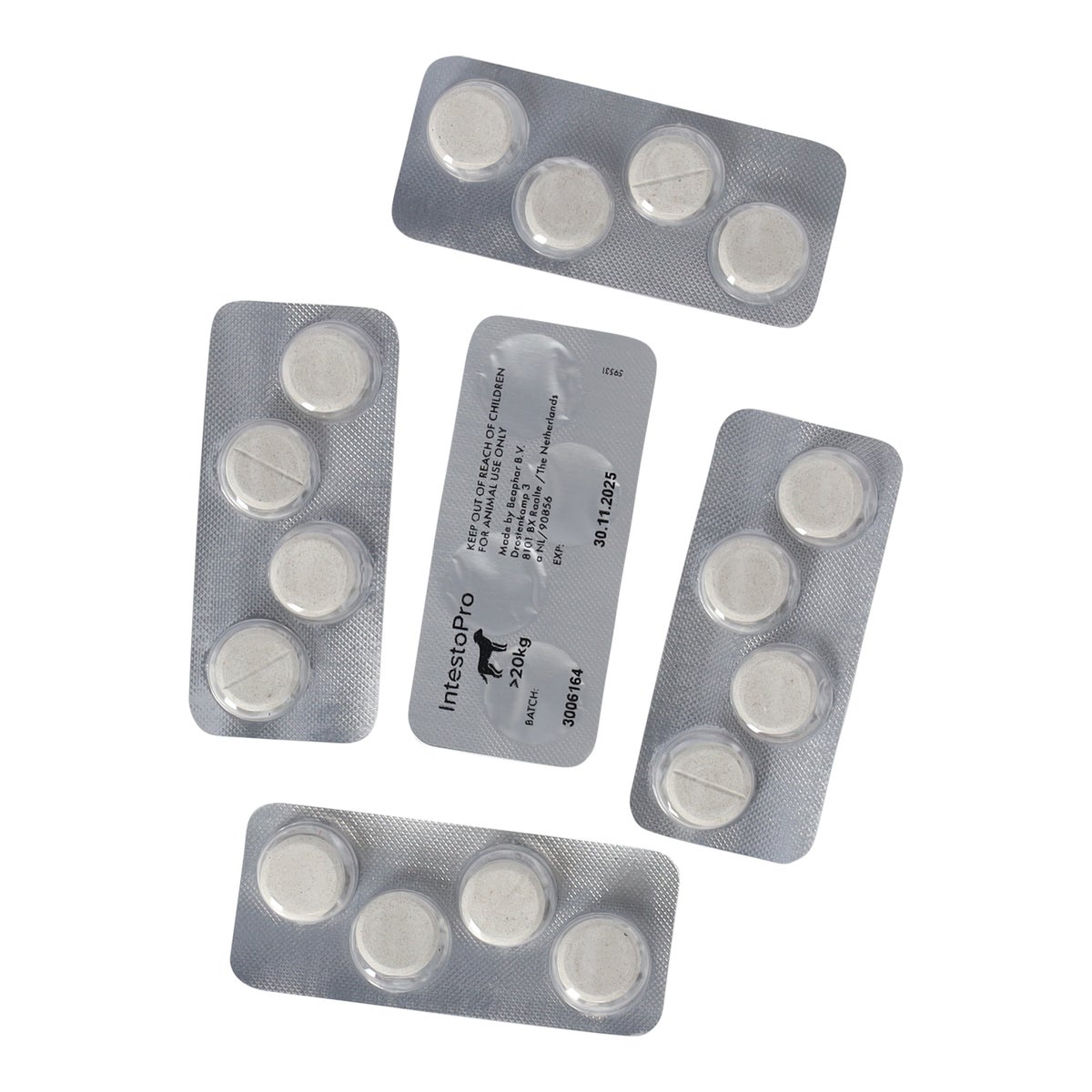 Intestopro hond vanaf 20kg Intestopro hond vanaf 20kg