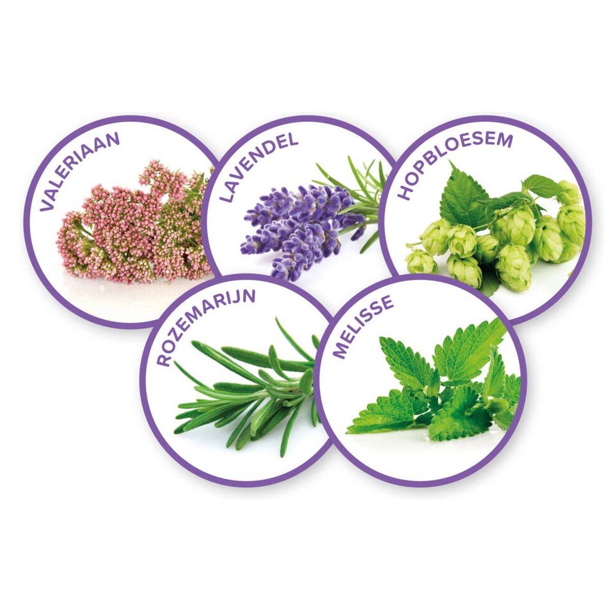 No Stress navulling hond No Stress navulling hond